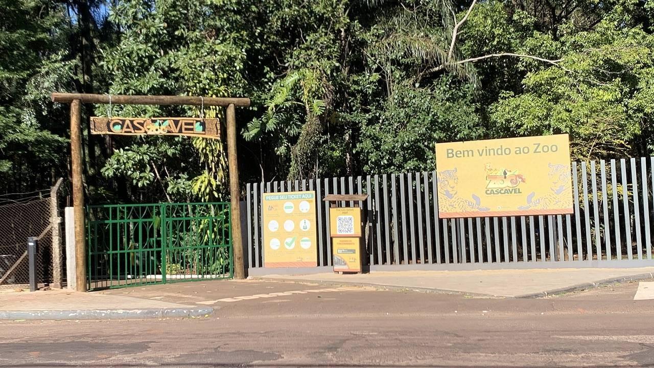 Zoológico amplia visitação e passa a abrir de terça a domingo durante as férias escolares