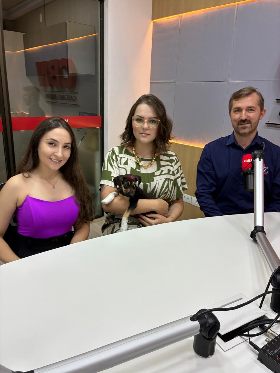 Foz Tintas cria cores inspiradas em cães de abrigo para apoiar causa animal