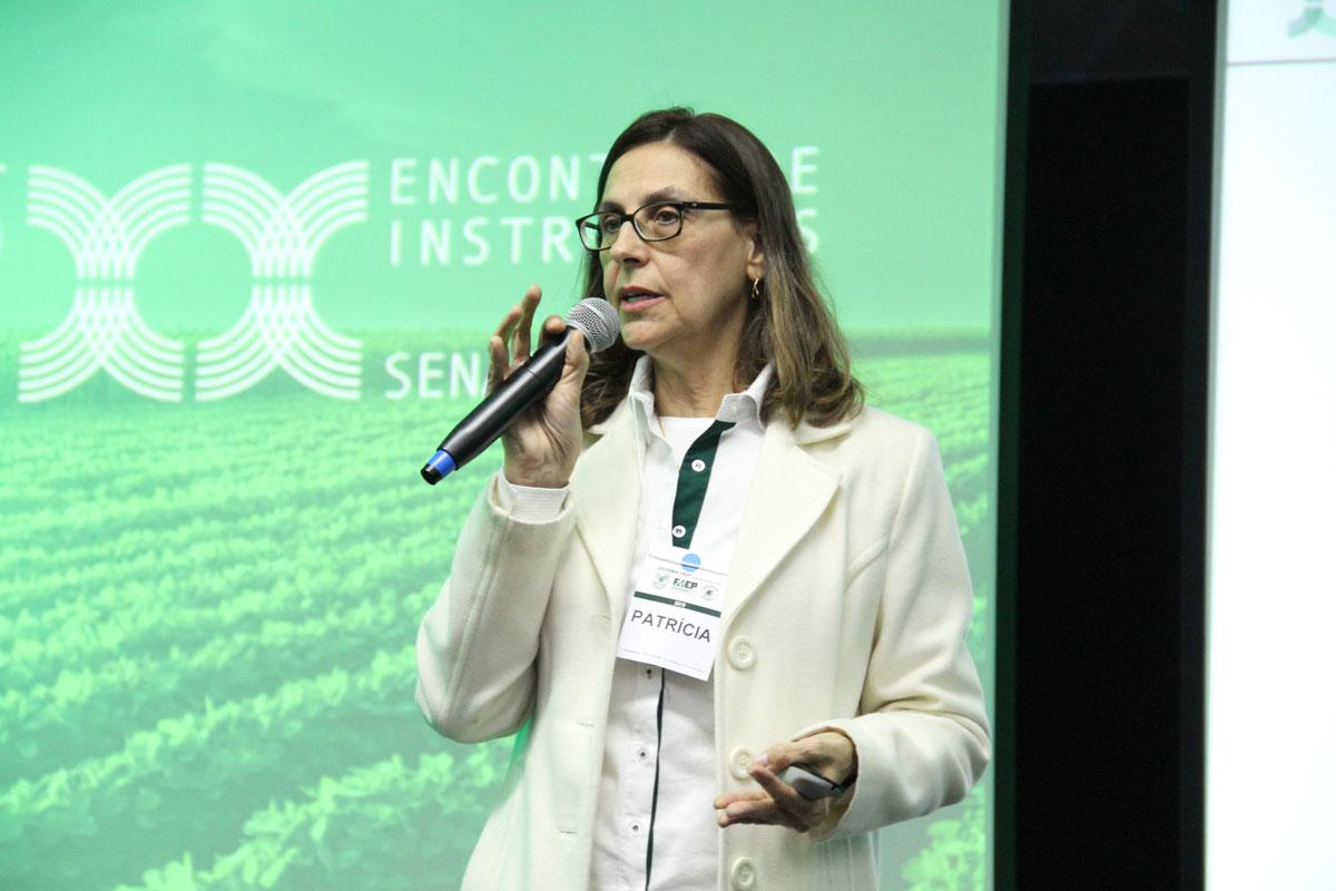 Programa Agrinho completa 30 anos contribuindo para a educação
