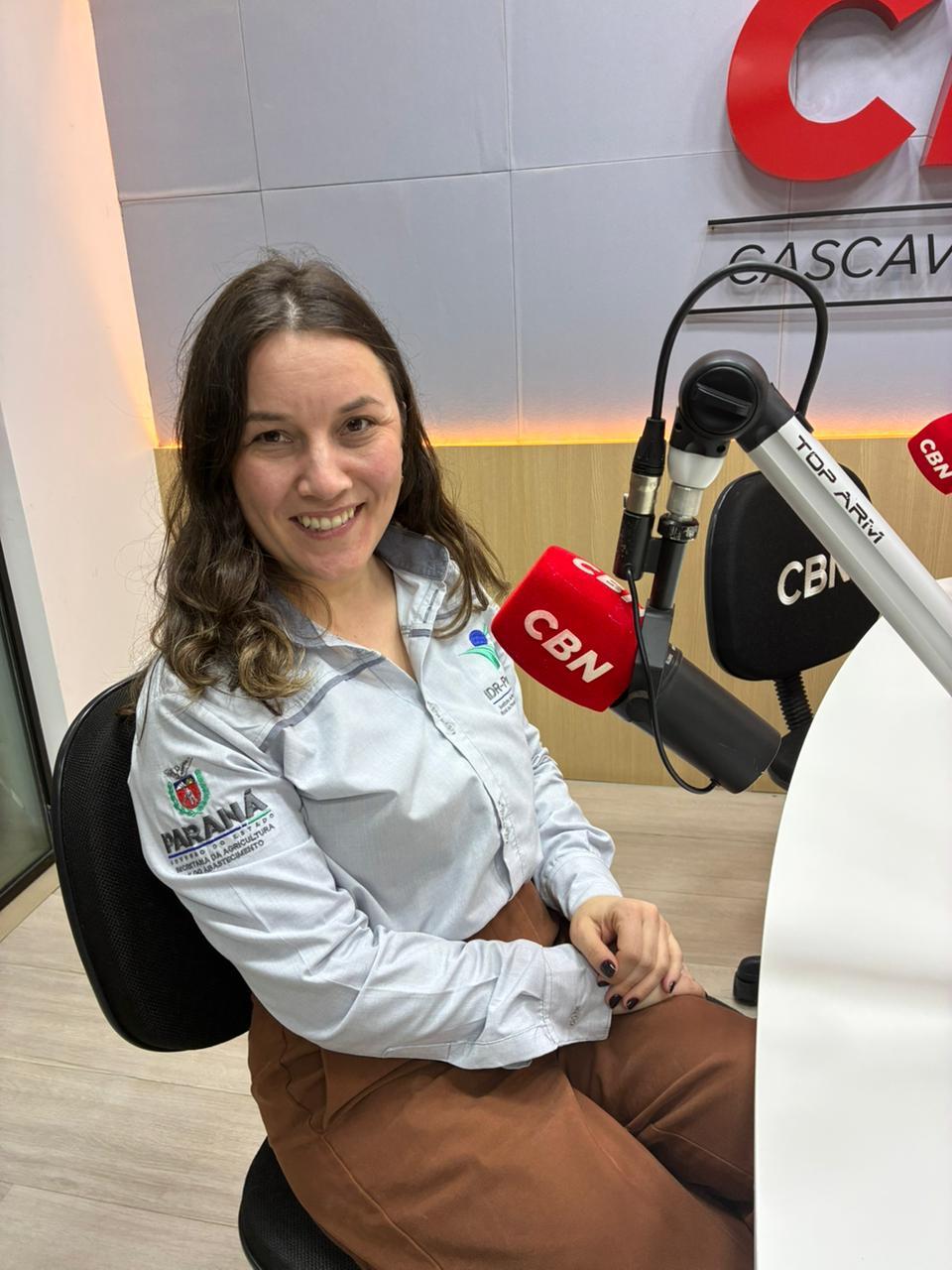 Novas políticas impulsionam agricultura familiar
