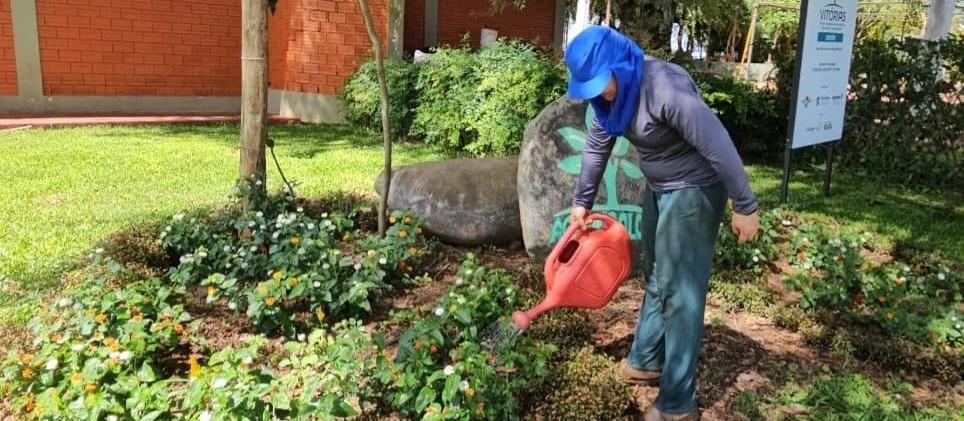 Vitrine Tecnológica do Show Rural apresentará inovações para pequenos produtores