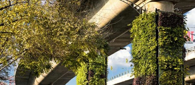 México transforma colunas de viadutos em jardins verticais