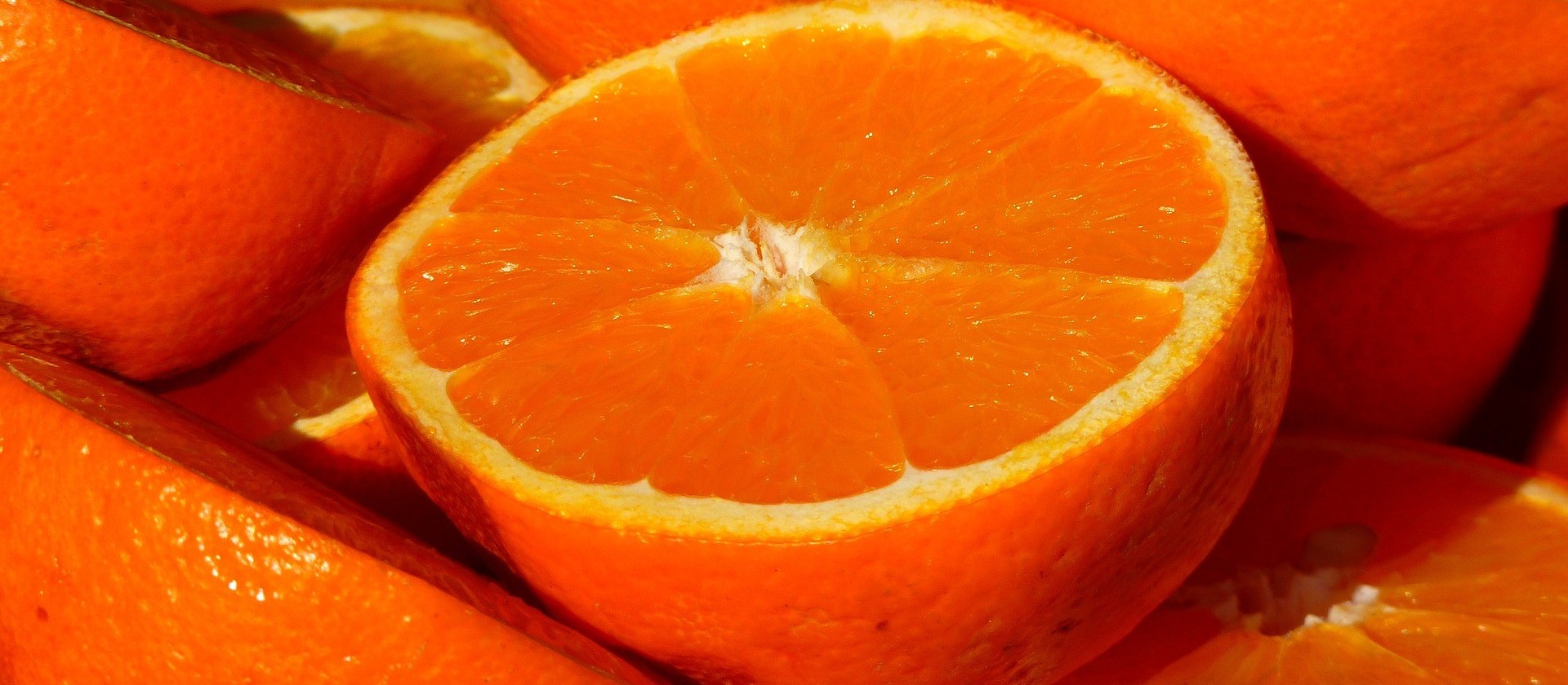 Safra total de laranja nos EUA registra queda