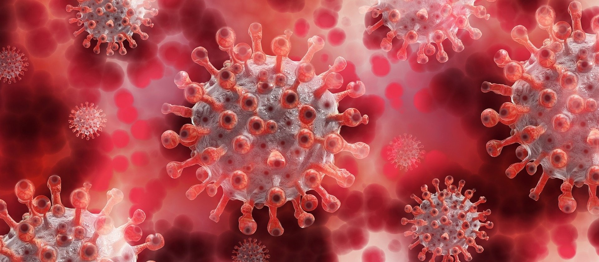 PMI anuncia 3ª dose para imunossuprimidos e vacinação de adolescentes com comorbidades