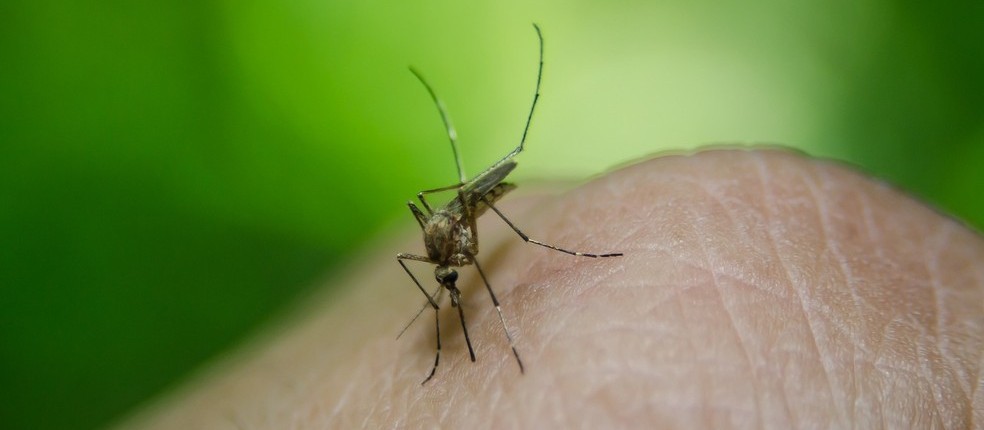 Endemias realiza ações de combate à dengue no Jardim Alvorada