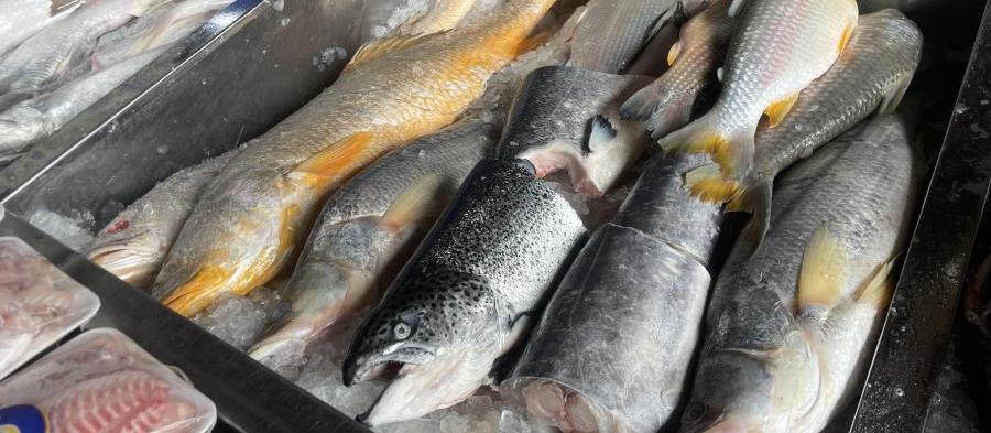 Período quaresmal impulsiona vendas do setor de pescados no Paraná