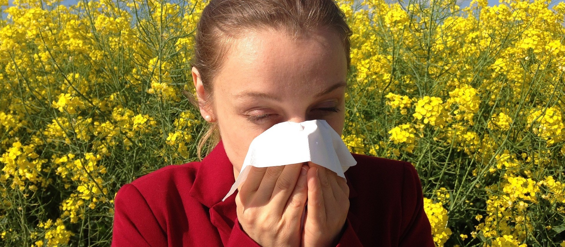 Alergias de primavera: o que fazer?