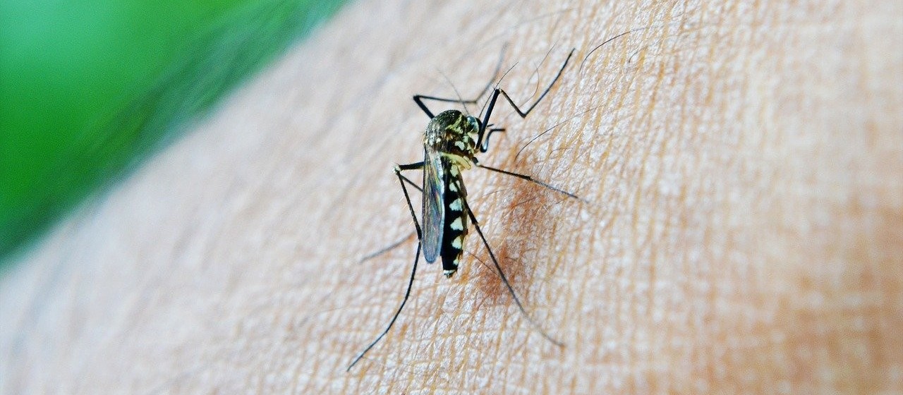 Atividades marcarão o "Dia D" de combate ao Aedes aeypti em Cascavel        