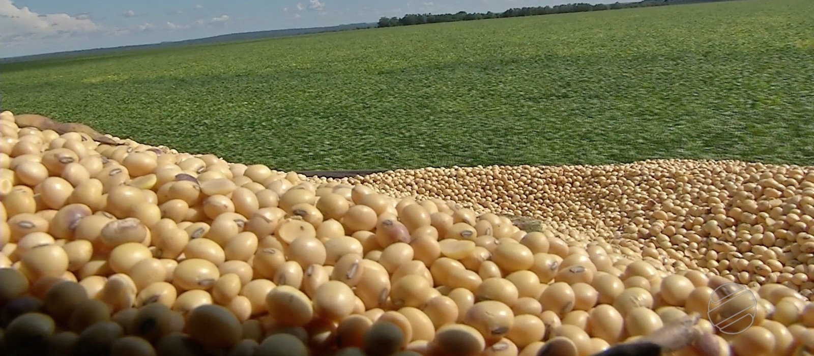 Mato Grosso lidera produção de grãos no país