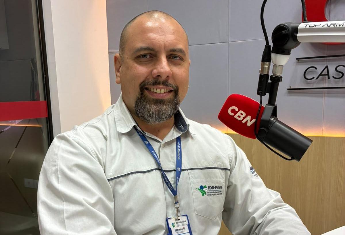 Excesso de chuvas preocupa produtores durante plantio da soja no Oeste do Paraná