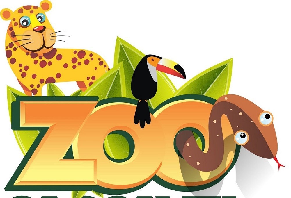 Plataforma de aquisição de ingresso gratuito para visita ao Zoo supera expectativas