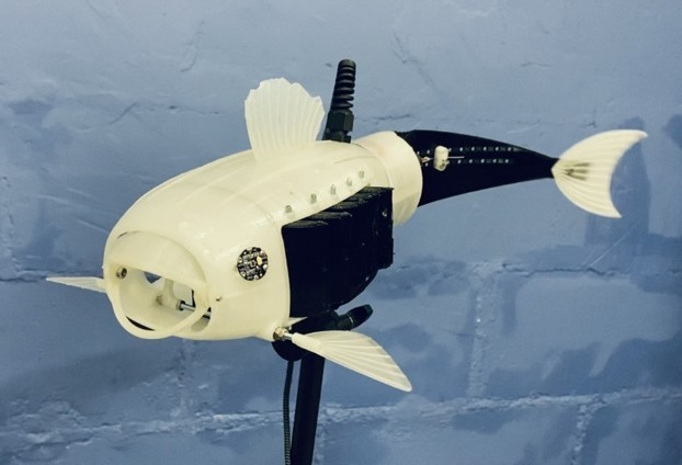 Conheça o peixe robô para filtrar as águas do oceano