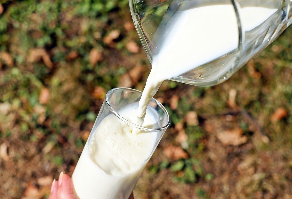 Após leve recuperação, preço do leite volta a recuar no Paraná