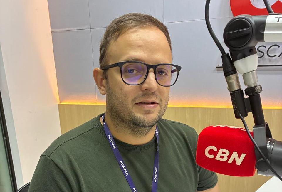 Adapar restringe trânsito de gado para combater brucelose e tuberculose no Paraná