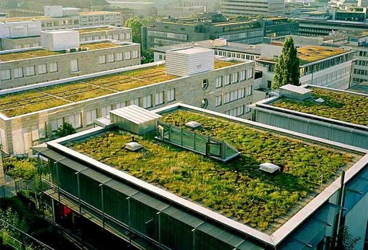 Novas construções em Nova Iorque deverão ter telhados verdes ou painéis solares