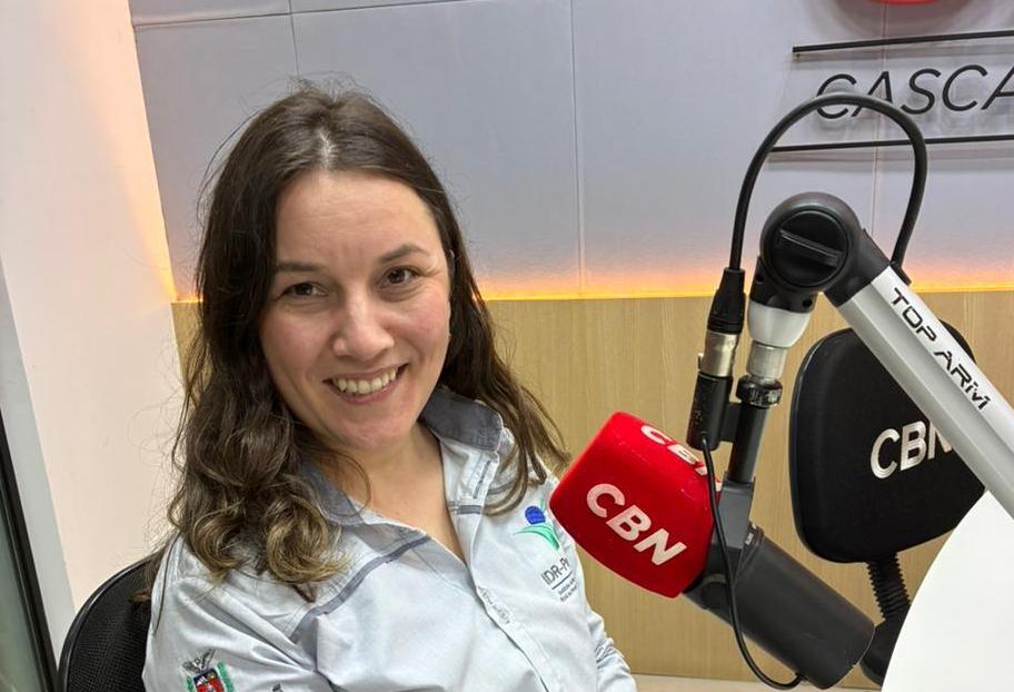 Novas políticas impulsionam agricultura familiar