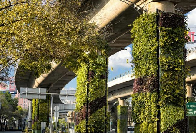 México transforma colunas de viadutos em jardins verticais