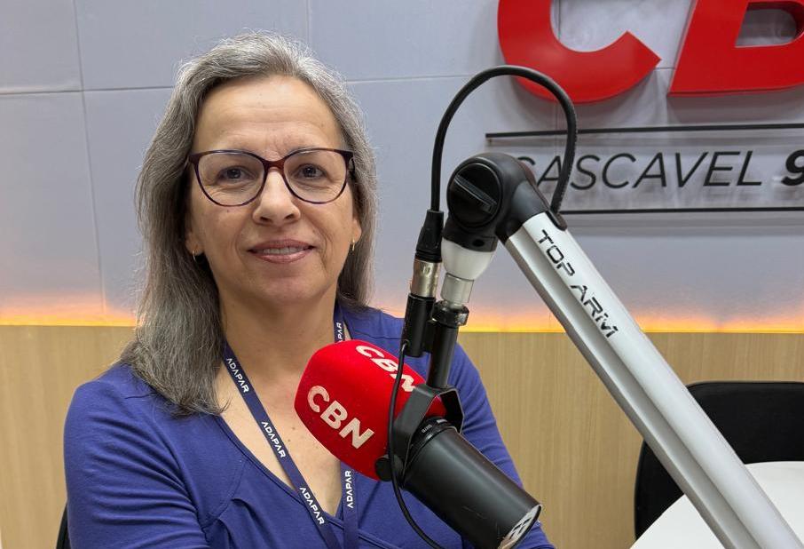 Cascavel integra lista para vacinação obrigatória de rebanhos contra a raiva