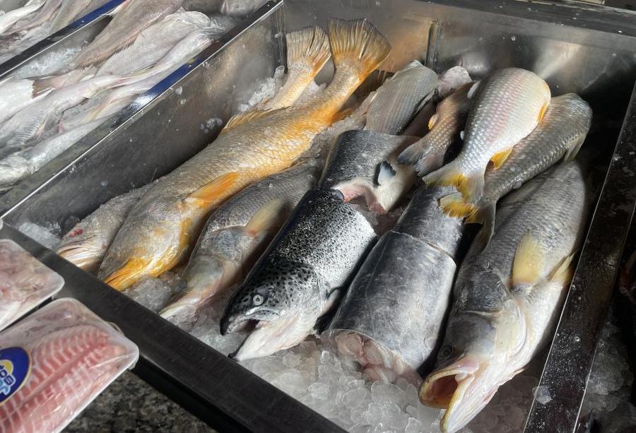 Período quaresmal impulsiona vendas do setor de pescados no Paraná