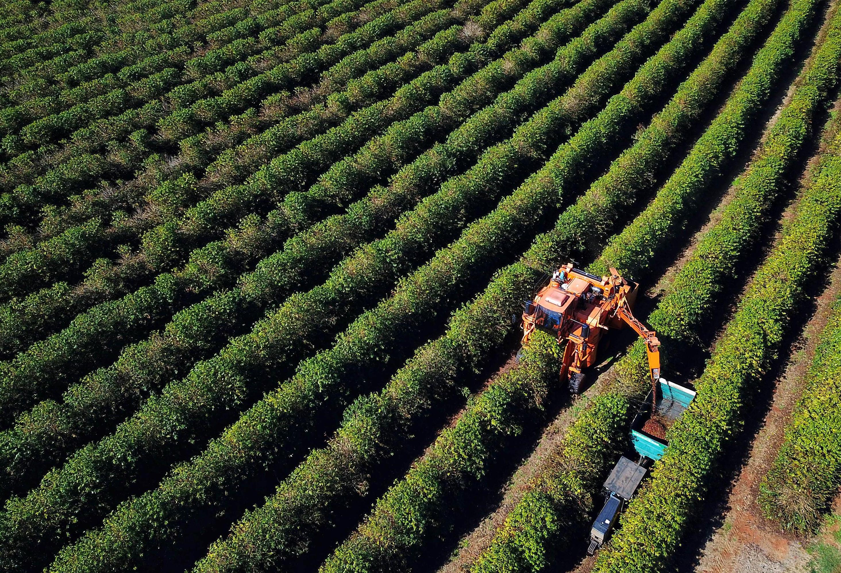 Agronegócio somou R$ 1,26 bilhão em contratações do BRDE no Paraná em 2025