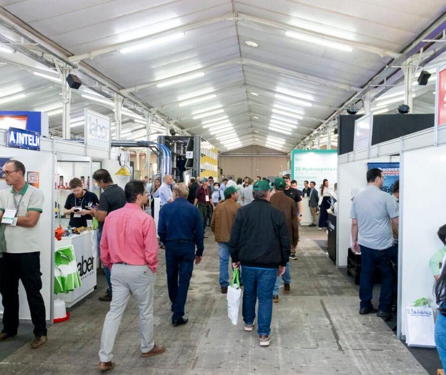 AveSui chega à 25ª edição com foco em inovação na produção de proteína animal