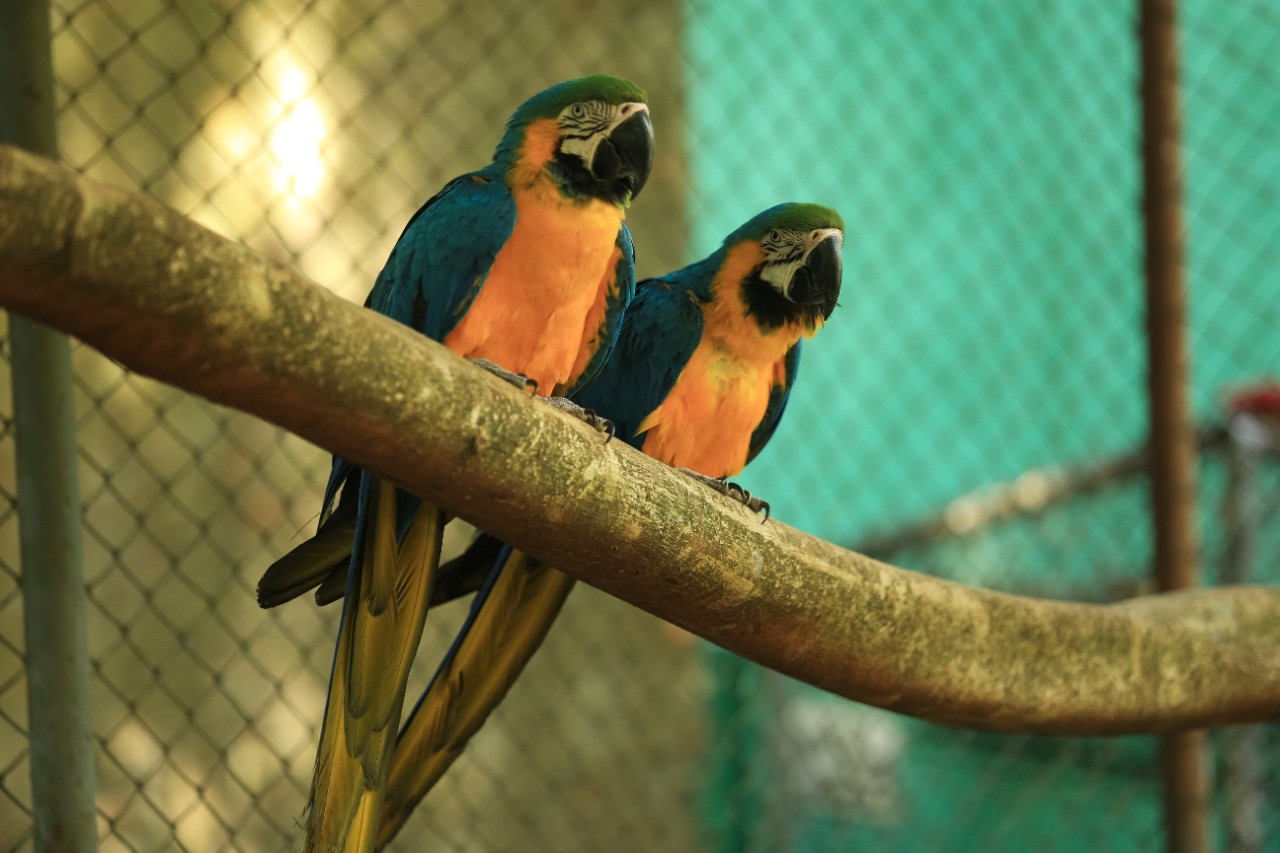 Zoológico de Cascavel bate recorde  e deve chegar a marca de 40 mil visitantes no mês de julho