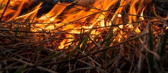 Tempo seco aumenta perigos de queimadas 