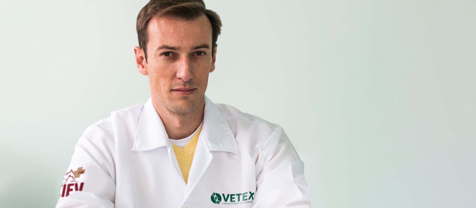 Laboratório veterinário cria “Delivery” de doação de sangue de animais de estimação