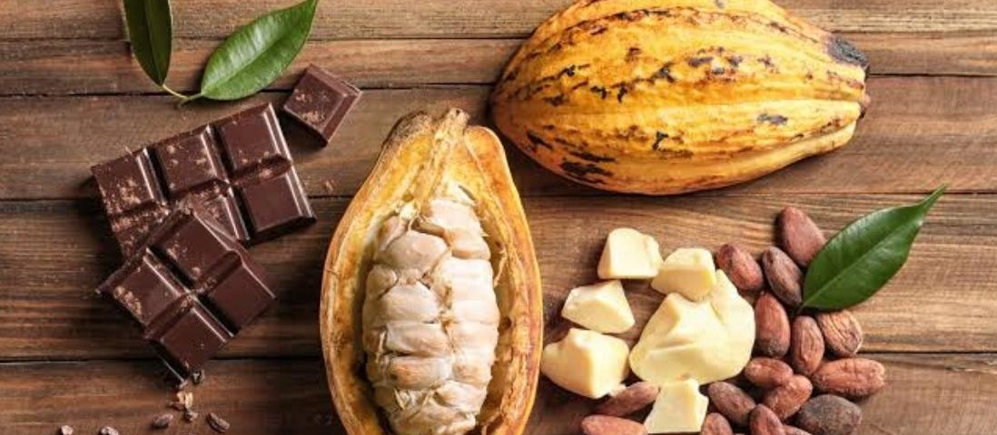 Vantagens e desvantagens do chocolate para a saúde humana