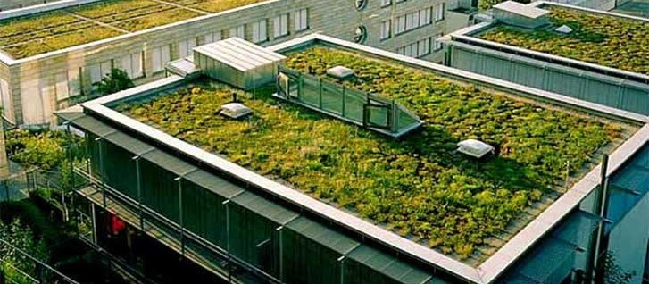 Novas construções em Nova Iorque deverão ter telhados verdes ou painéis solares