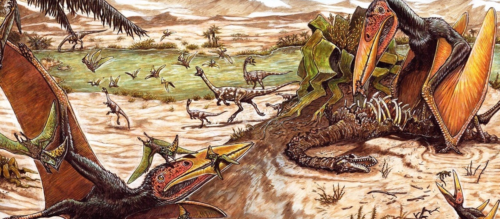 Mais um pterossauro é descoberto em Cruzeiro do Oeste