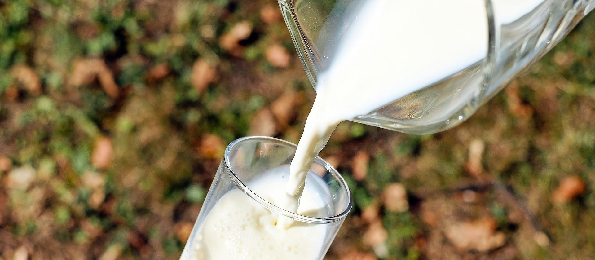 Produtos derivados do leite tiveram alta  no mês de julho