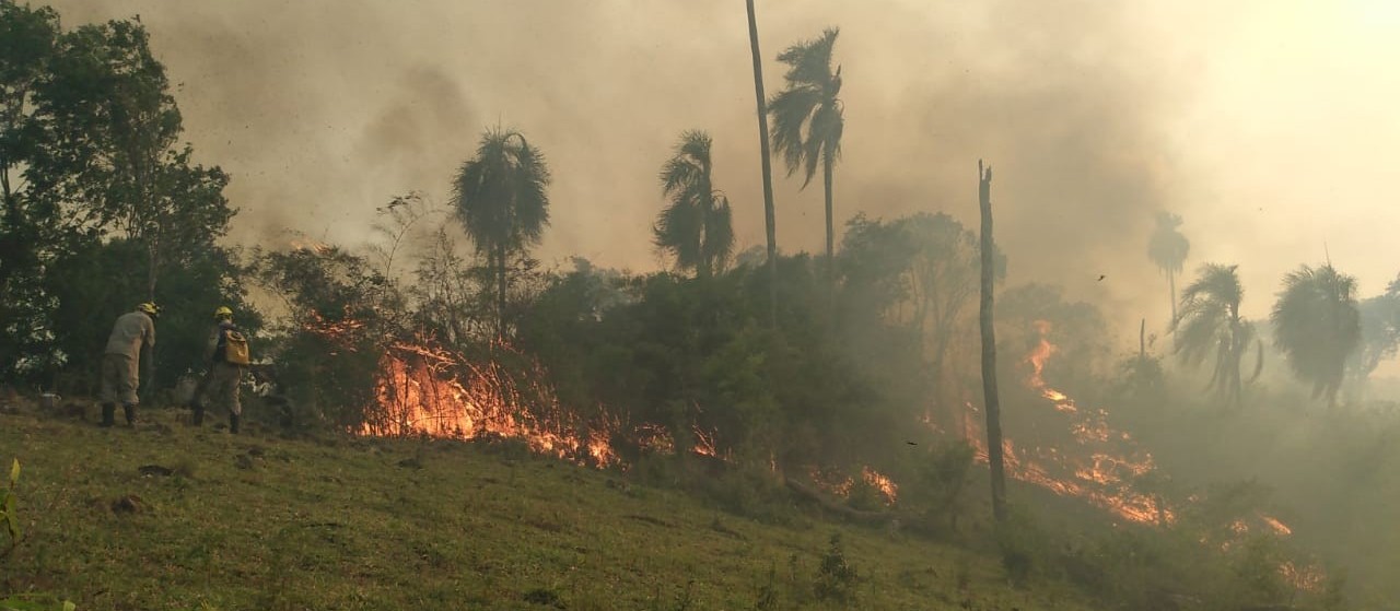 Incêndio ambiental em Quedas de Iguaçu mobiliza bombeiros da região
