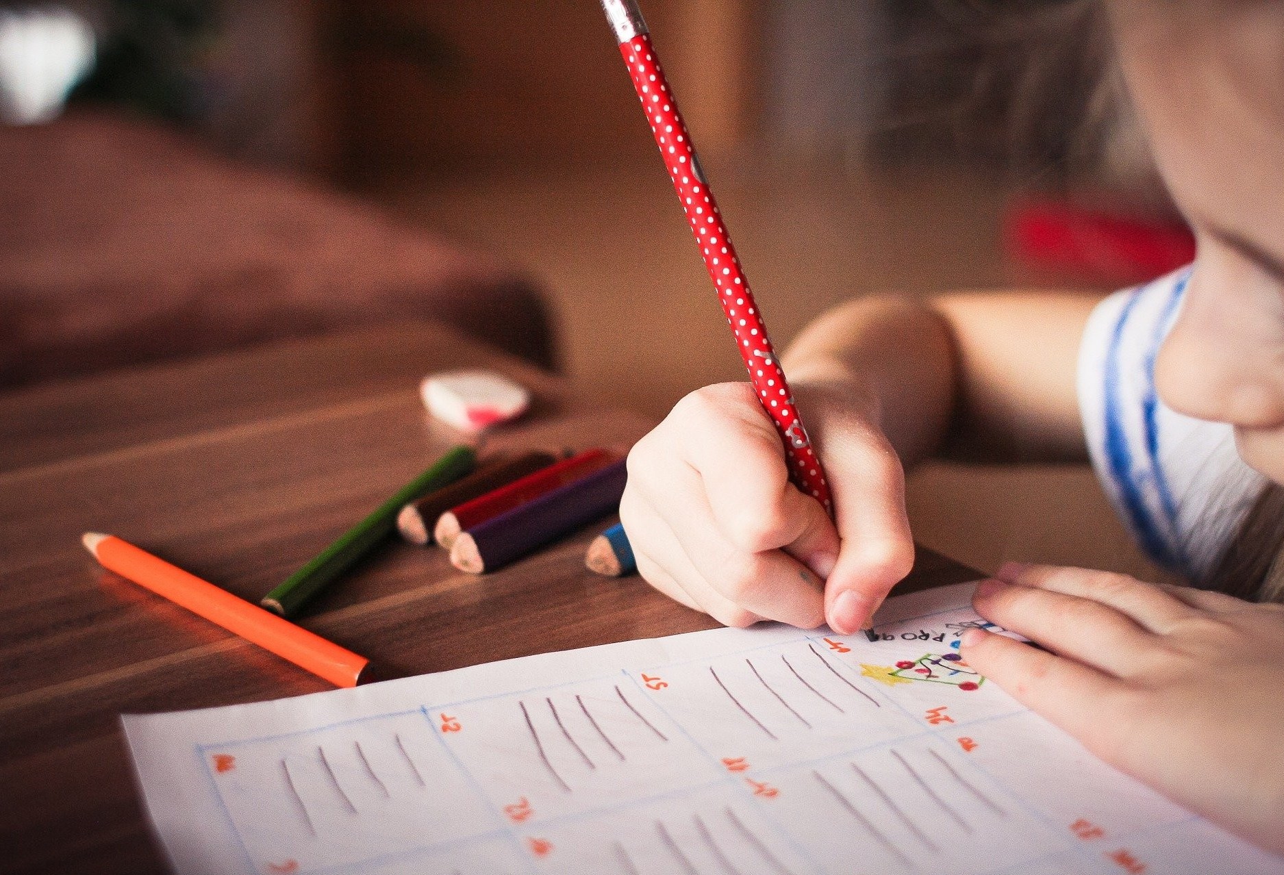  TJ  Paraná declara inconstitucional lei que estabelece o homeschooling em Cascavel 