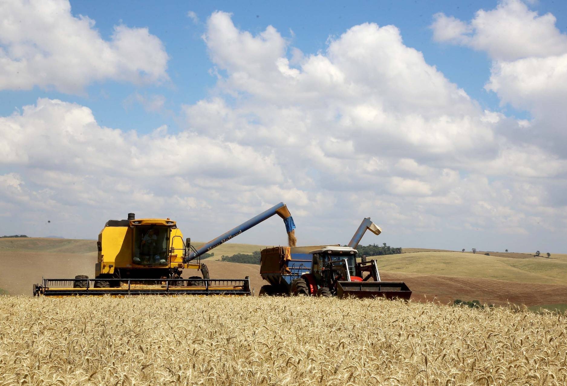 Safra de grãos do Paraná deve alcançar 23,4 milhões de toneladas