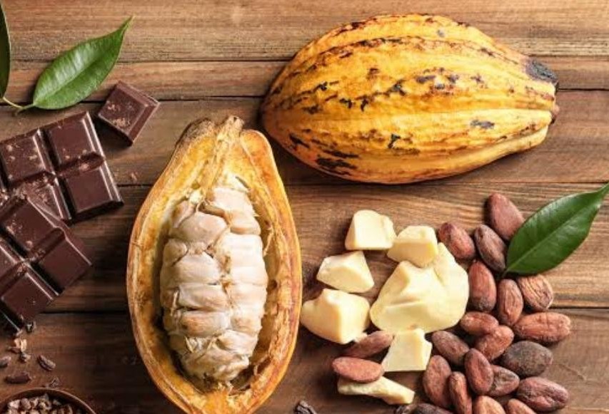 Vantagens e desvantagens do chocolate para a saúde humana