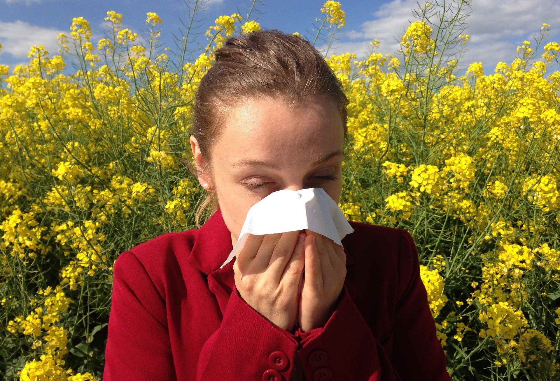 Alergias de primavera: o que fazer?