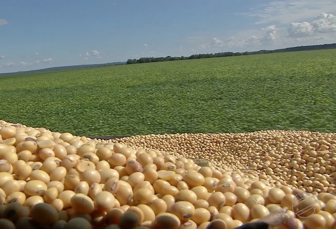 Mato Grosso lidera produção de grãos no país