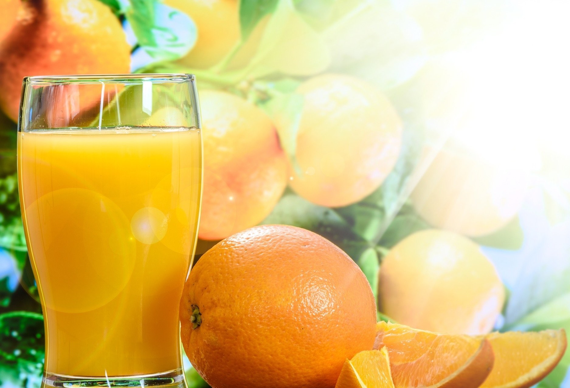 Exportações de suco de laranja cresceram 17% no Brasil 